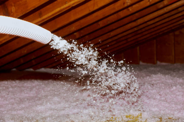 Insulation Replacement Services in Falmouth, VA