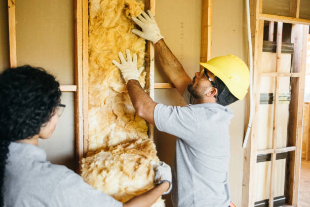 Best Insulation for New Construction  in Falmouth, VA